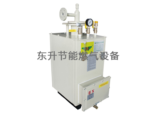 粉色视频官网(LPG)防爆型粉色app视频器(DS30—50kg／h)