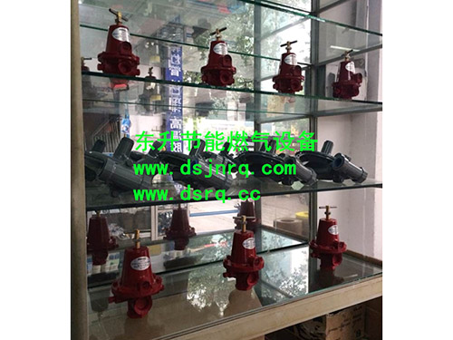 粉色视频官网粉色app视频炉  燃气减压阀